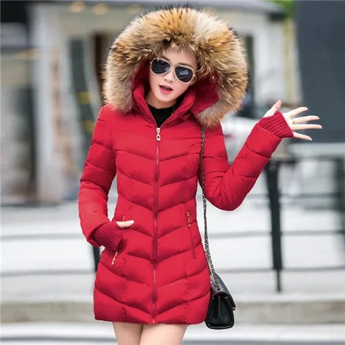 Parkas for Women 4 Colors  Outwear W/ Hood Large Faux Fur Collar